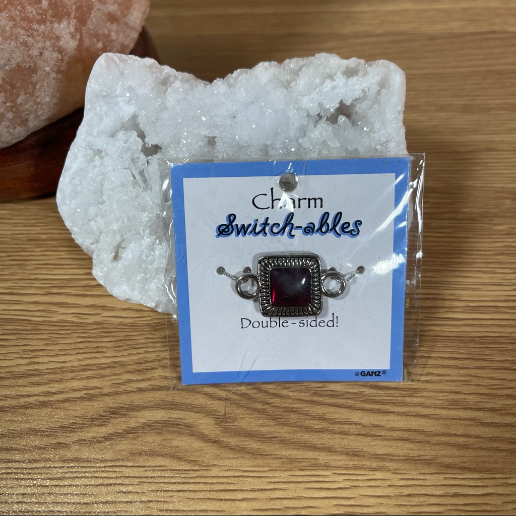 New! Ganz Switch-Ables Double Sides Charm